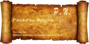 Pandurov Neszta névjegykártya